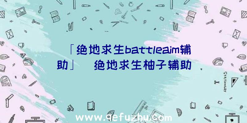 「绝地求生battleaim辅助」|绝地求生柚子辅助